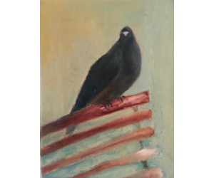 kingly Court pigeon, W1 (Painting on Canvas)